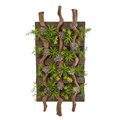 Nearly Naturals 41 in. x 19 in. Mixed Succulent Artificial Living Wall 8321